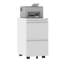 39 cm W 2 -Drawer - Drawer Wheels / Casters included Mobile Steel Filing Cabinet-863247964