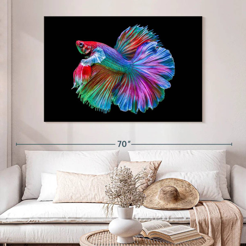 Poisson Betta chromatique, H 34 po x l 51 po
