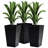 Outsunny Set Of 3 Tall Planters With Drainage Hole-1109833616