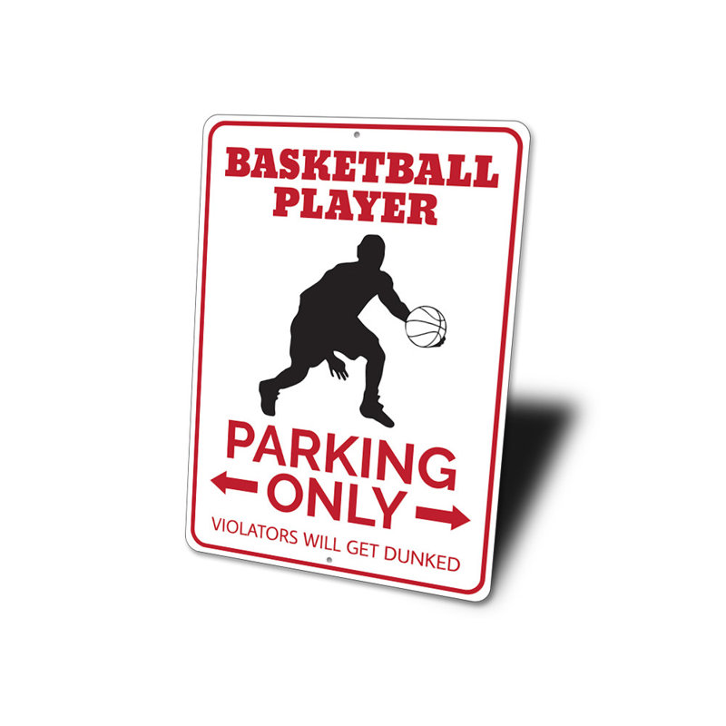 Panneau de basketball en aluminium, H 18 po x l 12 po x P 0,06 po