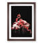 Pink Flamingos in Abstract - Framed Print-55768774-55768775