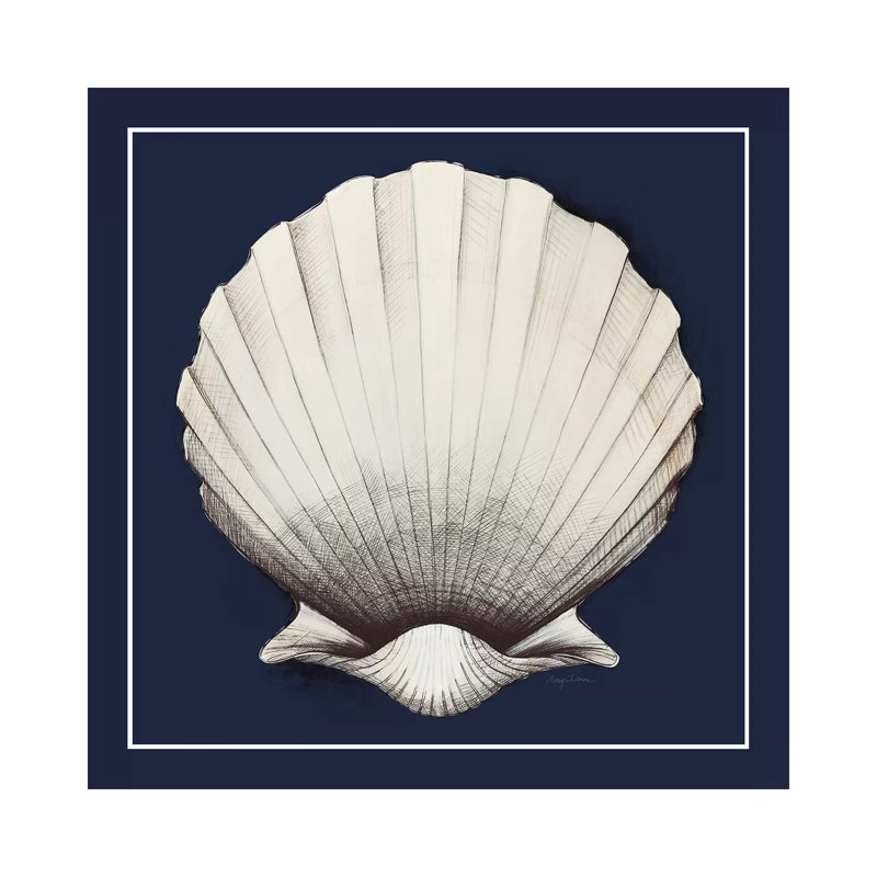 Coastal Shell II With Border Navy by Avery Tillmon - Wrapped Canvas Print, 93.98 cm H x 93.98 cm W