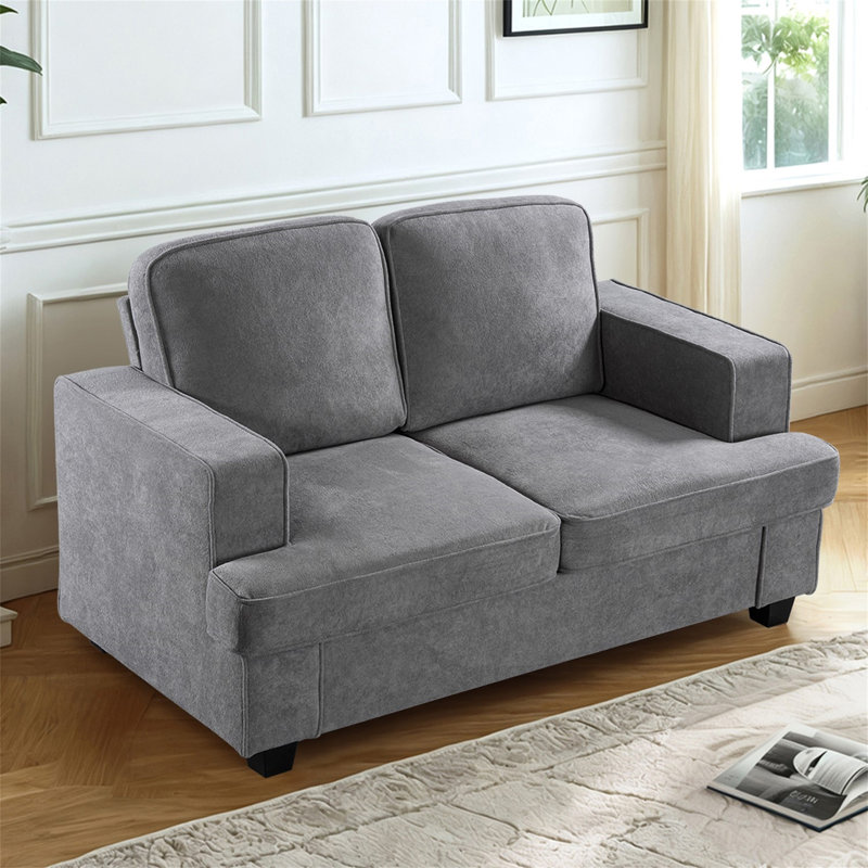 Causeuse moderne en velours, Gris