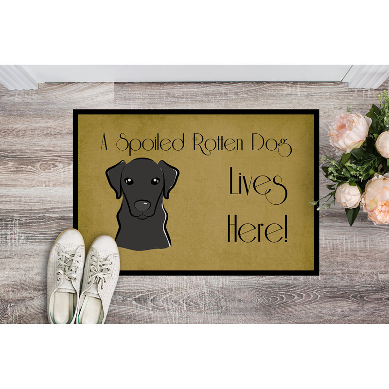 Ubly Non-Slip Outdoor Doormat, Rectangle 1'6" x 2'3", Black