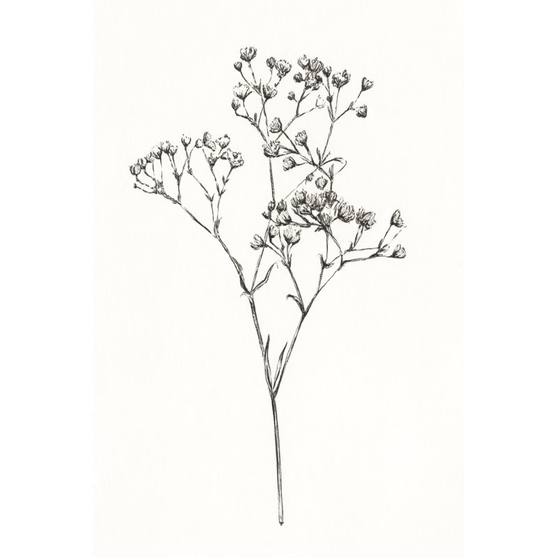 Wild Bloom Sketch I by Annie Warren - Drawing Print, 122cm H x 81cm W, Wrapped Canvas