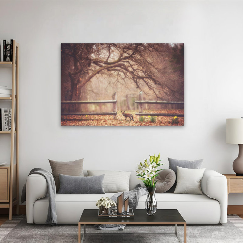 Sly Guy - Photographie de paysage, animaux, faune, H 40 po x l 60 po