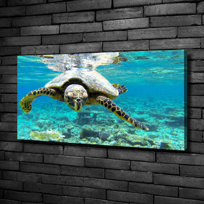 Sea Turtle - No Frame Print on Canvas