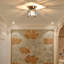 Canis Semi Flush Mount