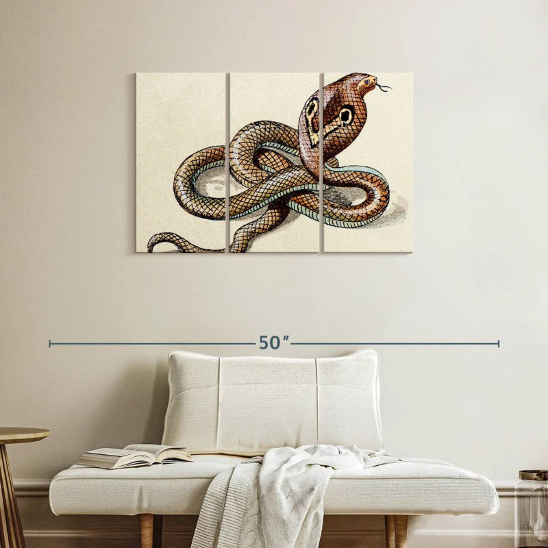 Brampt Indian Cobra, 24" H x 38" W