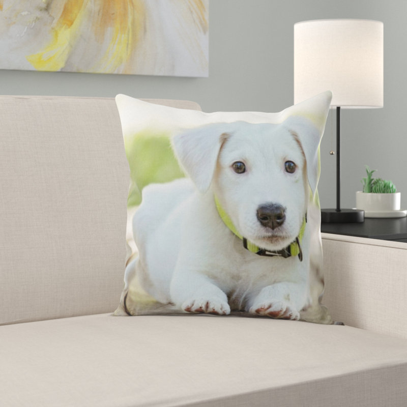 Coussin chiot