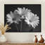 Monochrôme noir et blanc, bonheur, photo IV - marguerites, art mural-210656729-210656735