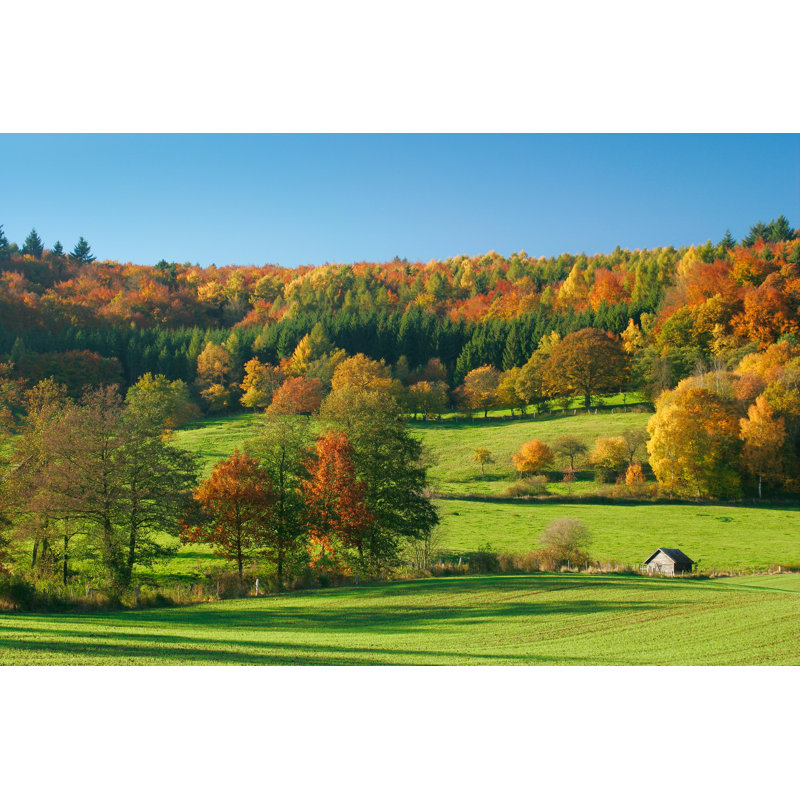 Autumn Landscape by Avtg, 24" H x 36" W
