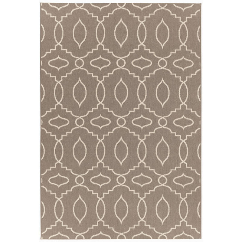 Oriental Indoor / Outdoor Rug, Rectangle 3'11" x 5'6"