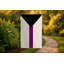 Drapeau Demisexual Pride - drapeau extérieur-246004318