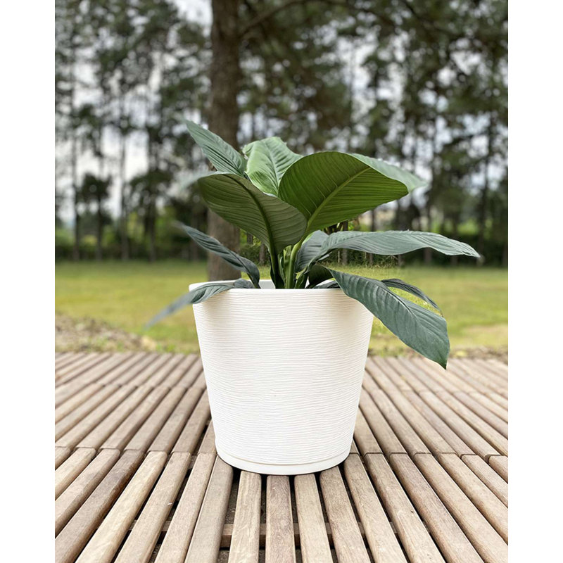 Genebra Pot Planter, White, 13.78" H x 15.75" W x 15.75" D