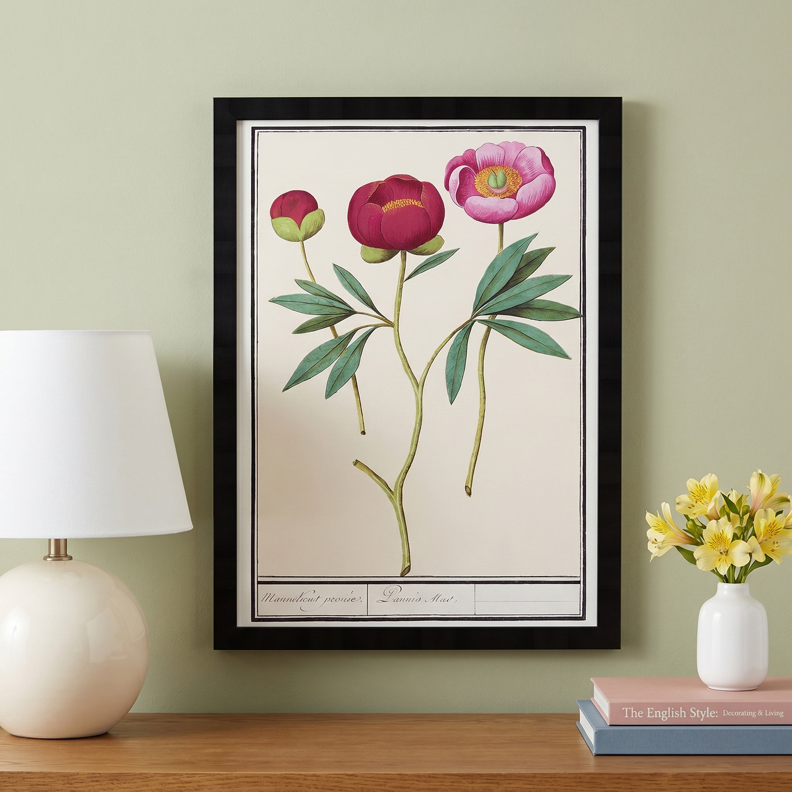 Red and Pink Peony Botanical Study Print, Black, 56" H x 38" W