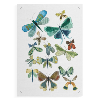 Wings Galore I - Impression sur toile seulement - NON CADRE