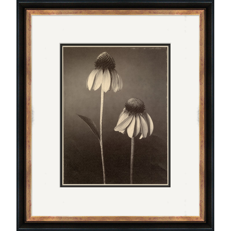Photographie de sépia 22 photos sur papier encadré