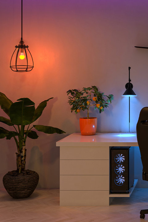 STARFISH LED Color Changing Bulbs