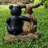 Bear and Moose Garden Welcome Sign