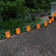 Plastic Luminaria Lanterns - 10 Count