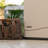 Lifetime Water Resistant Plastic Lockable Deck Box-56963977-128497177