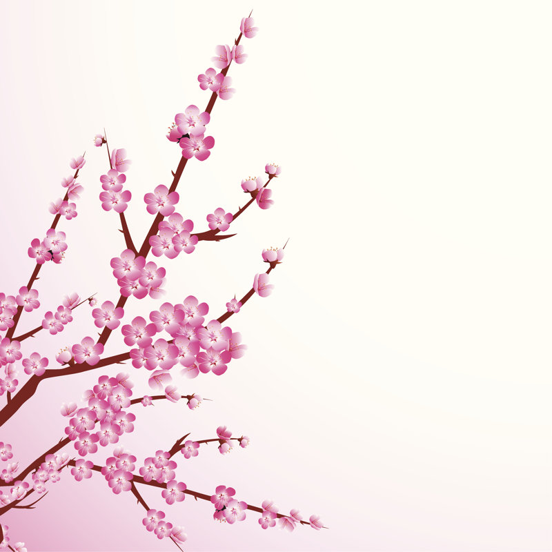 Cherry Blossoms by Yu-la - Wrapped Canvas Print, 30cm H x 30cm W