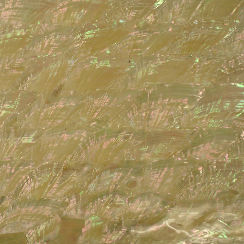 2'' x 2'' Ceramic Decorative Accent Tile