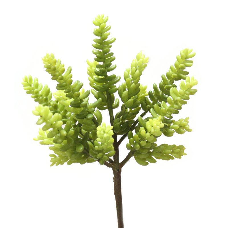 Plante grasse 8 po (vert)