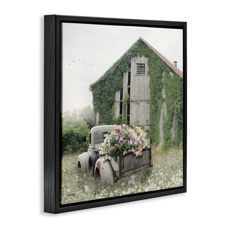 Magical Farmhouse Barn with Vines, H 18 po x l 18 po, Cadre flottant noir de jais