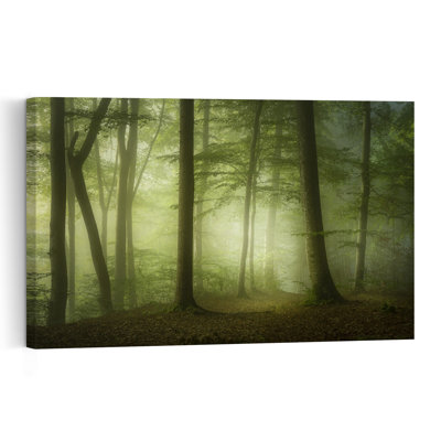 Sunlit Misty Woods Dreamy Ethereal Peaceful Forest Nature Wall Art Print 1 Piece Wrapped Canvas Wall Art