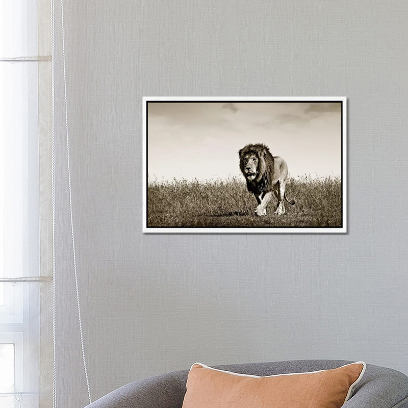 Purposeful Lion 1 Piece Wall Art on Canvas, 66.04 cm H x 45.72 cm W, White Framed