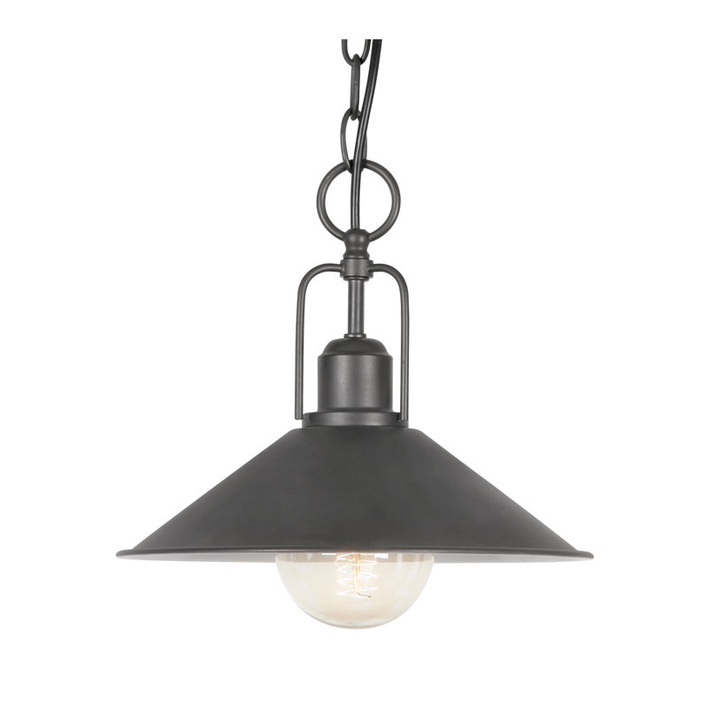 Timberview 1 - Light Black Cone Pendant