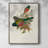 ElegantTrogonsVII Framed Print - Solid Wood