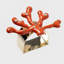Coral Napkin Rings-1439105916