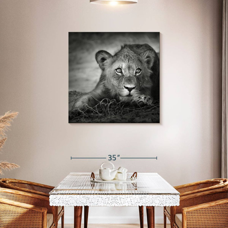 Brampt Young Lion Head, 36" H x 36" W
