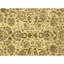 Hand Knotted Wool Area Rug in Gold And Beige