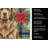 Brown Newfoundland Christmas PoinsettIas Kitchen Towel-2080583755