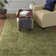 Worrell Indoor Rug