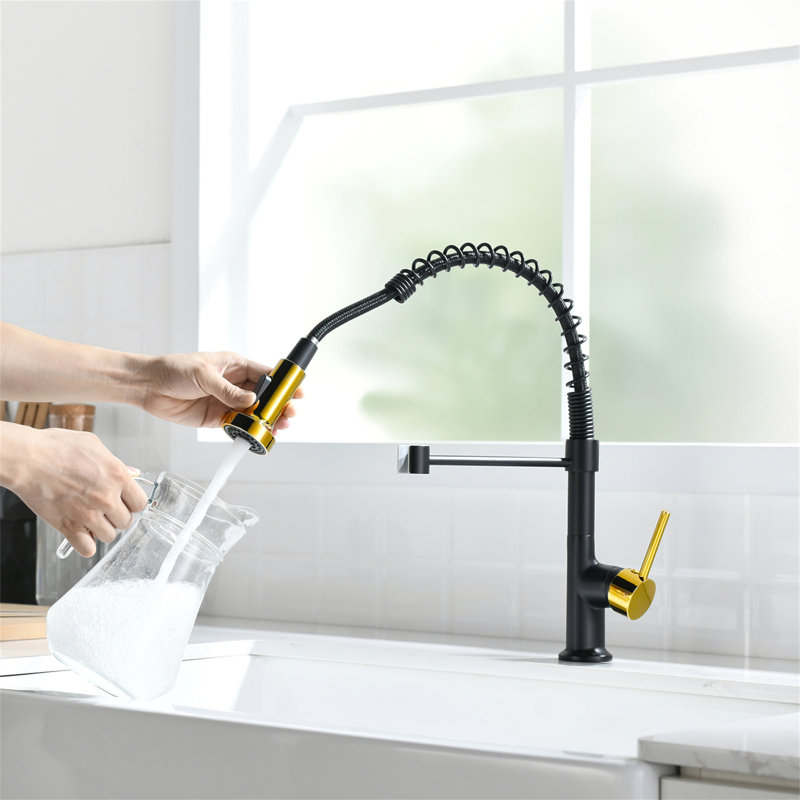 Robinet de cuisine avec douchette rétractable, robinet d'évier de cuisine à poignée simple