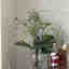 Photos des clients 1 de 1