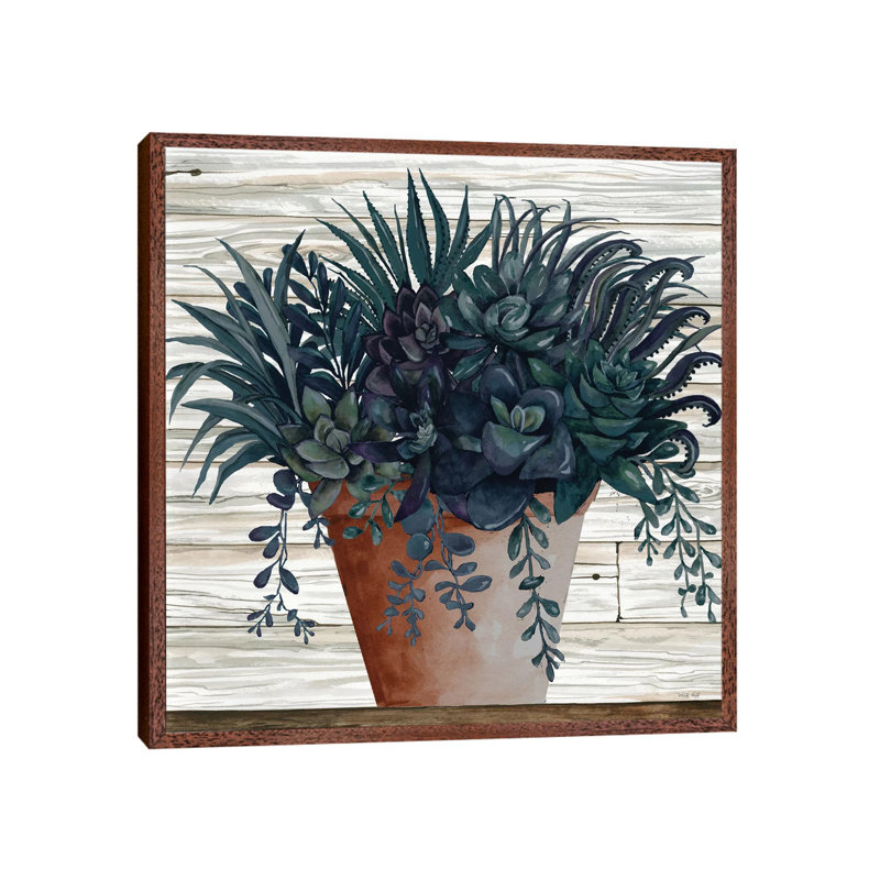 Remarkable Succulents I by Cindy Jacobs - Print on Canvas, Classic Brown Wood Framed, 45.72cm H x 45.72cm W x 3.81cm D