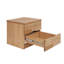 Avaani 2 Drawer Bedside Table-1549743321