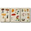 Mushroom Species VI-91891301-91891302