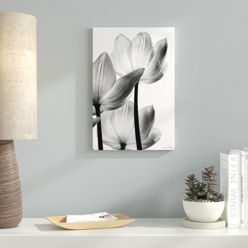 « translucide tulipes iii », impression, Papier encadré noir, H 24 po x l 16 po x P 1 po