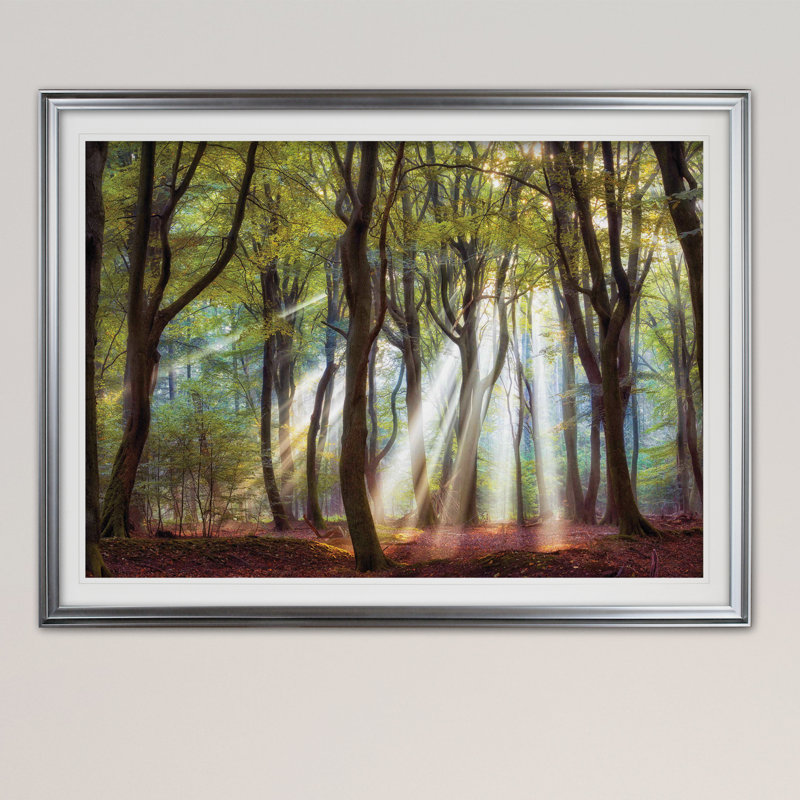 Majestic Morning - impression, Cadre argenté, H 24 po x l 32 po x P 1,5 po
