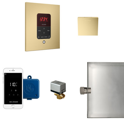 Residential Steam Generator Control