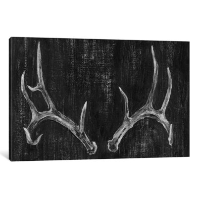 Rustic Antlers II by Ethan Harper - Print on Canvas