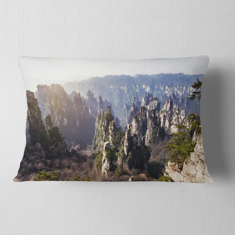 Coussin lombaire imprimé Schafer