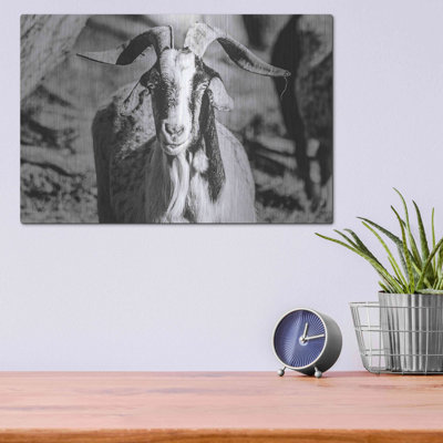 «Bearred Goat» par Donnie Quillen